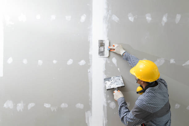 Best Mold Documentation for Insurance Claims  in Jerseyvle, IL