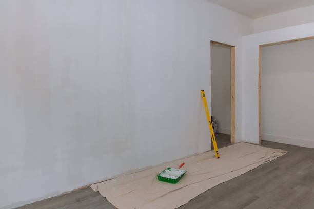 Mold Documentation for Insurance Claims in Jerseyville, IL