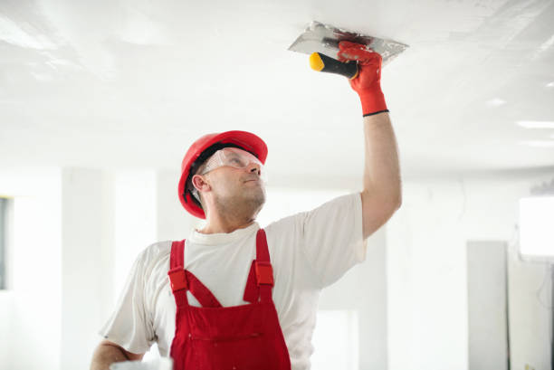Best Black Mold Removal  in Jerseyvle, IL