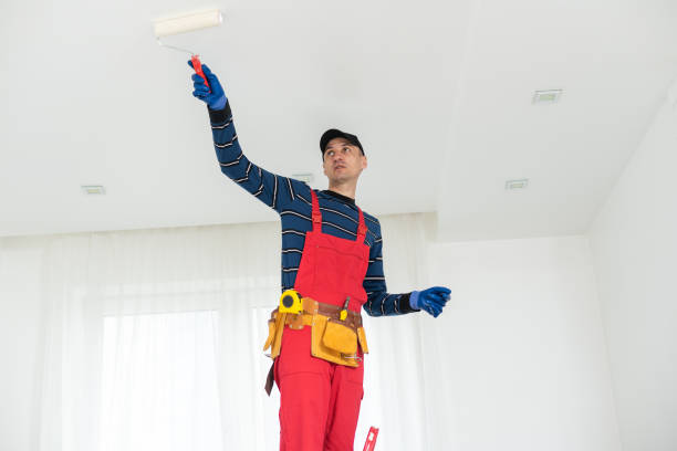 Best Basement Mold Removal  in Jerseyvle, IL