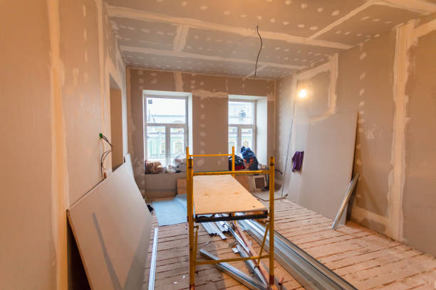Best Crawl Space Mold Remediation  in Jerseyvle, IL