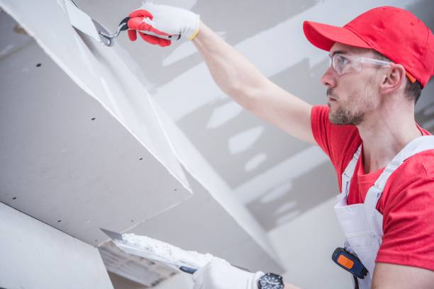Best Airborne Mold Testing  in Jerseyvle, IL