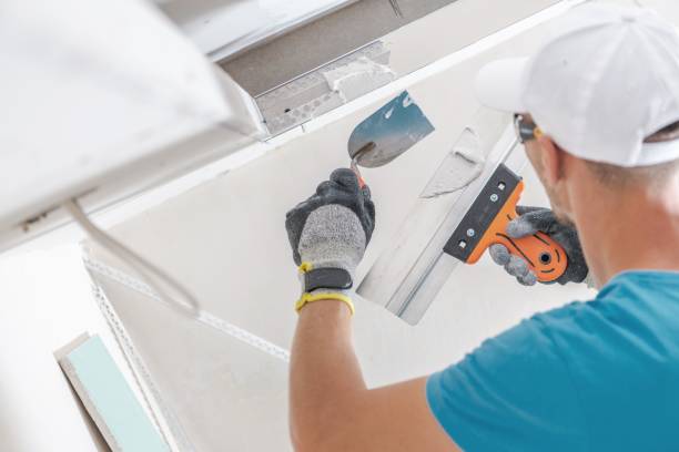 Trusted Jerseyville, IL Mold Removal Experts